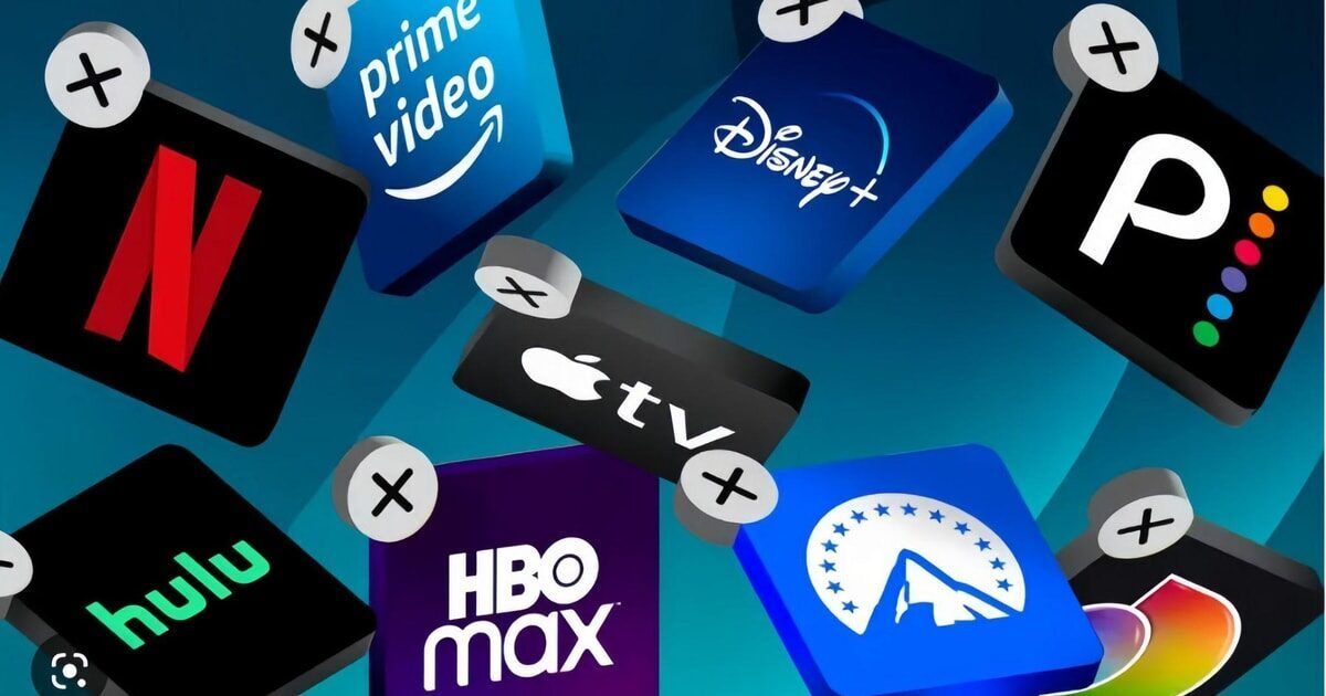 Levidia: Similar Platforms Like It – A Detailed Comparison