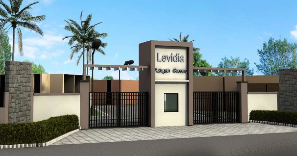 Levidia: Exposed Real Reason It’s Blowing Up Online