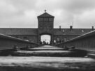Planning a Trip to Poland Here's Why You Can't Skip Auschwitz