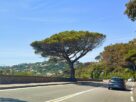 The Road from Nice to Saint-Tropez