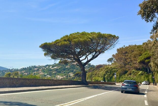 The Road from Nice to Saint-Tropez