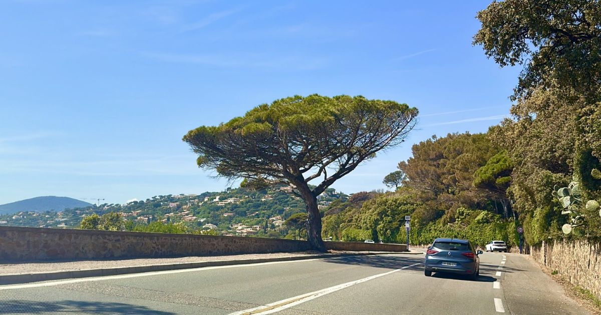 The Road from Nice to Saint-Tropez